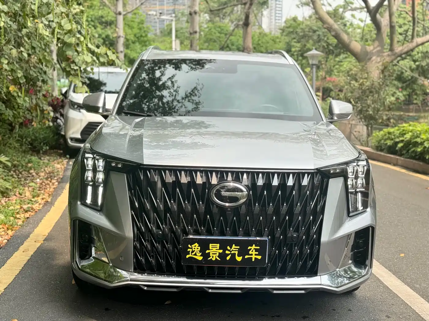 GAC Trumpchi Trumpchi GS8 2024 Dual Engine Series 2.0TM 4WD Premium Edition фото 2