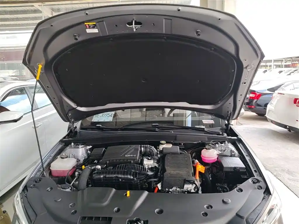 BYD Qin PLUS 2024 Glory Edition DM-i 55KM Leading фото 20