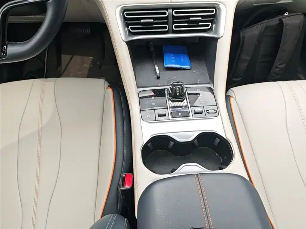 BYD Song PLUS PHEV 2024 Glory Edition DM-i 110km Flagship фото 13