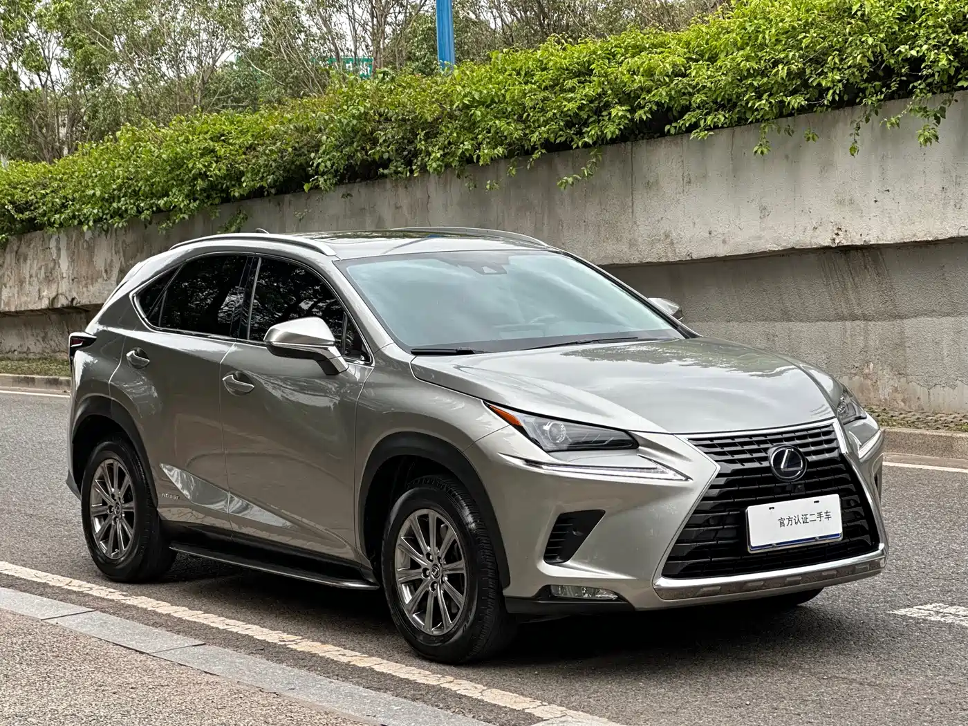 LEXUS NX