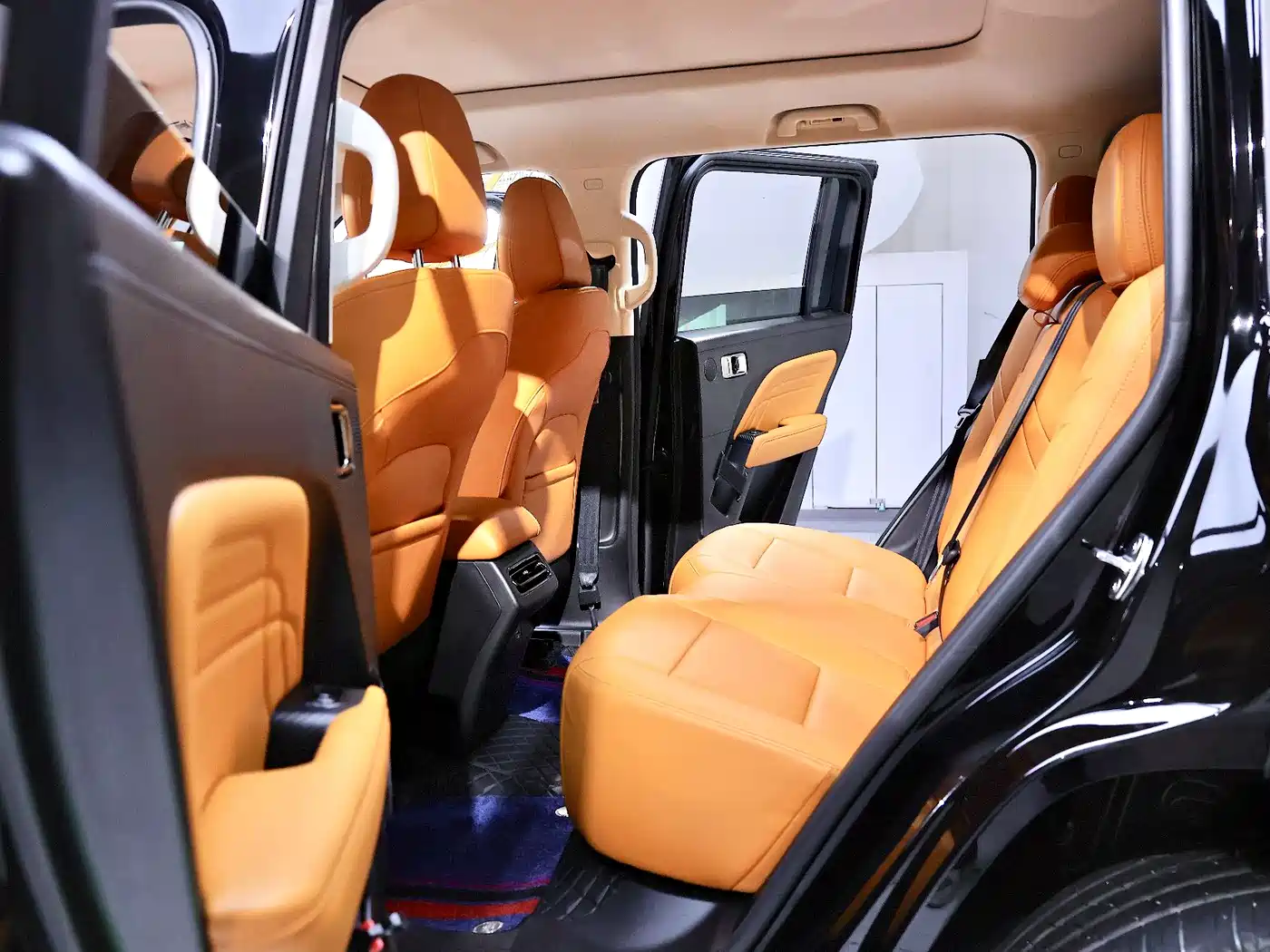 HAVAL RAPTORS NEW ENERGY