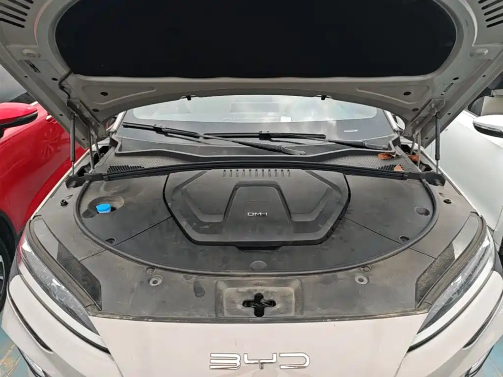 BYD Song PLUS PHEV 2024 Glory Edition DM-i 110km Flagship фото 19
