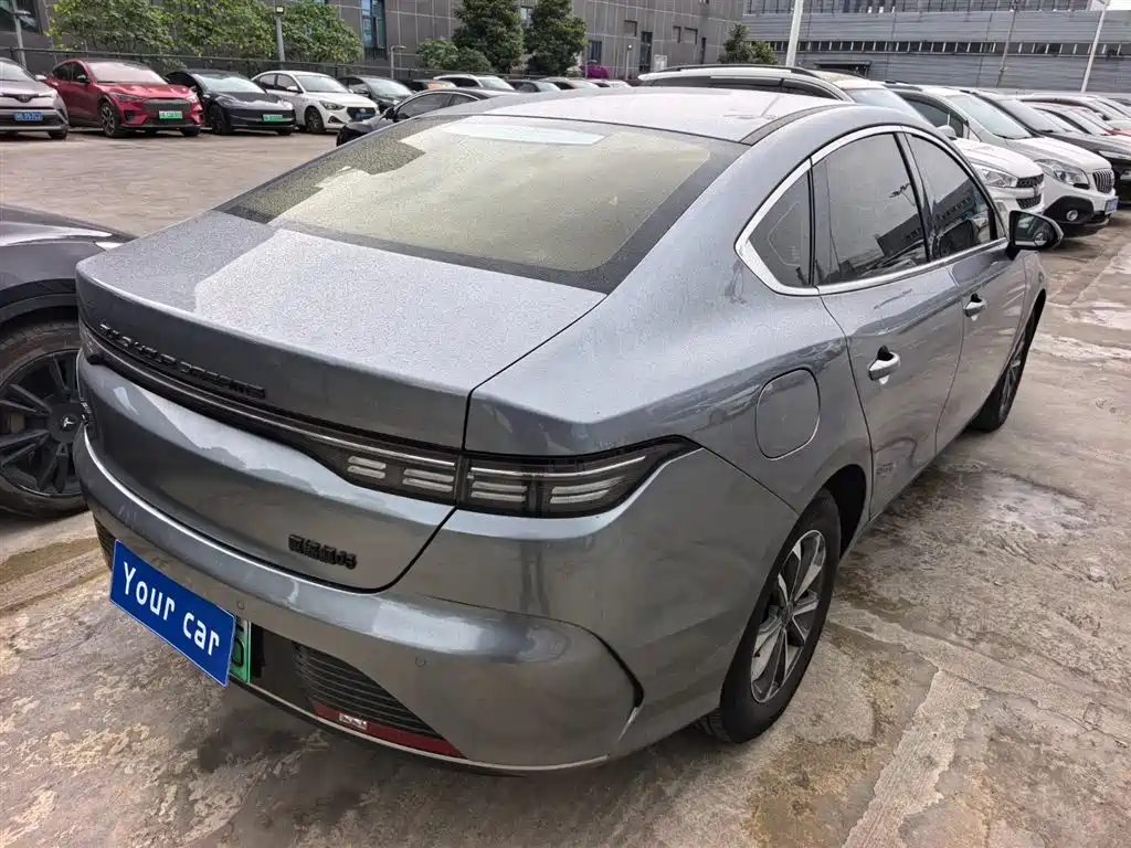 BYD Destroyer 05 2023 Champion Edition DM-i 55KM Luxury фото 6