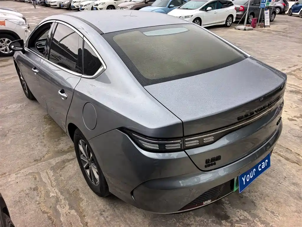BYD Destroyer 05 2023 Champion Edition DM-i 55KM Luxury фото 4
