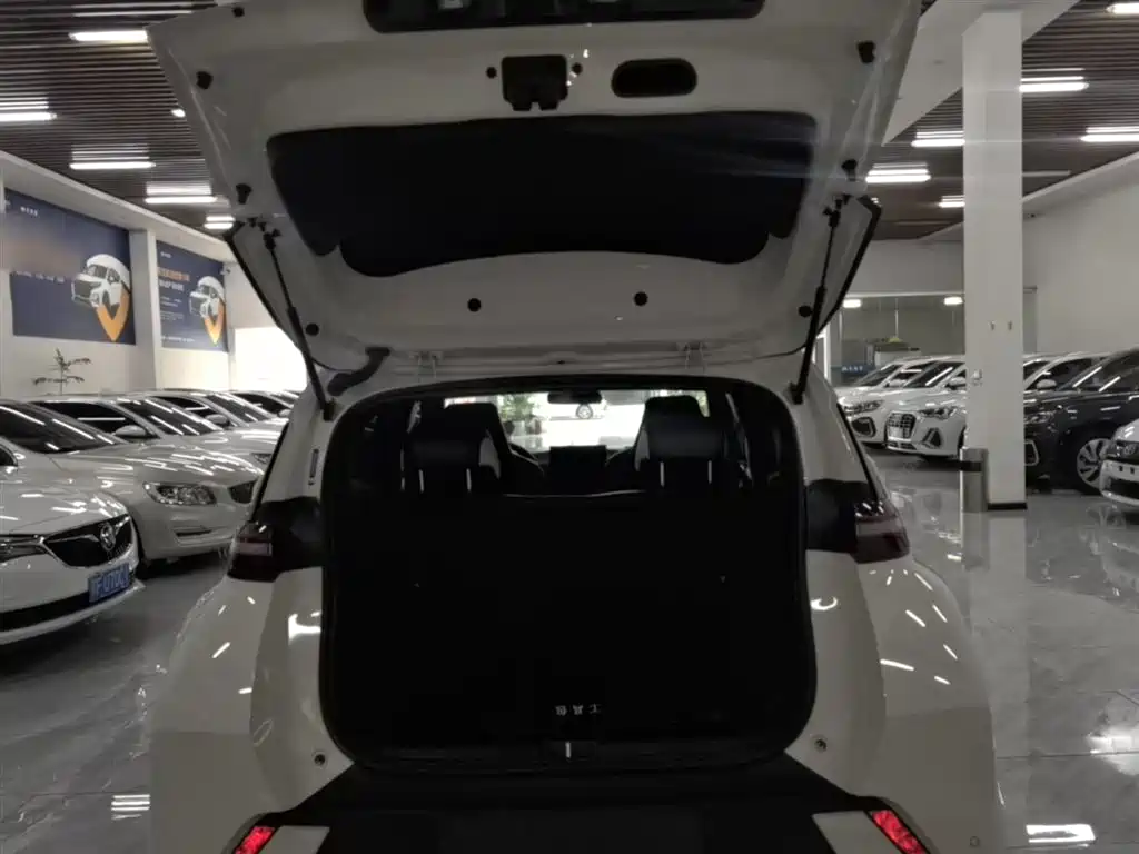 BYD Seagull 2024 Glory Edition 305km Vitality Edition фото 19