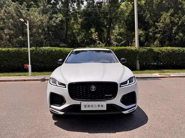 Jaguar F-PACE 2024 P250 R-Dynamic SE — фото 2