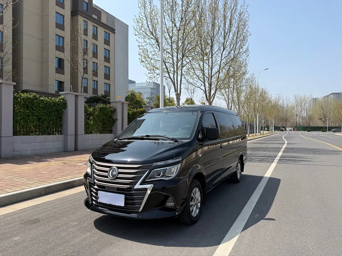 DONGFENG LINGZHI