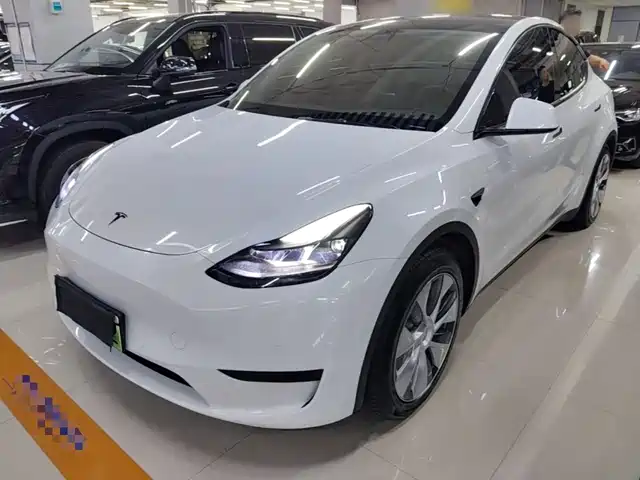  Tesla Model Y 2022 Rear-Wheel Drive Version
