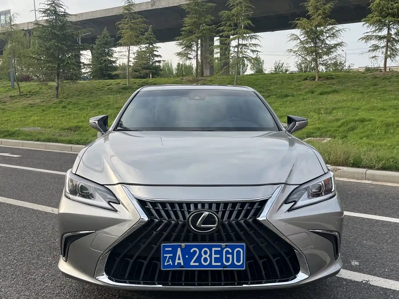 Lexus ES 2024 200 Premium Edition фото 2