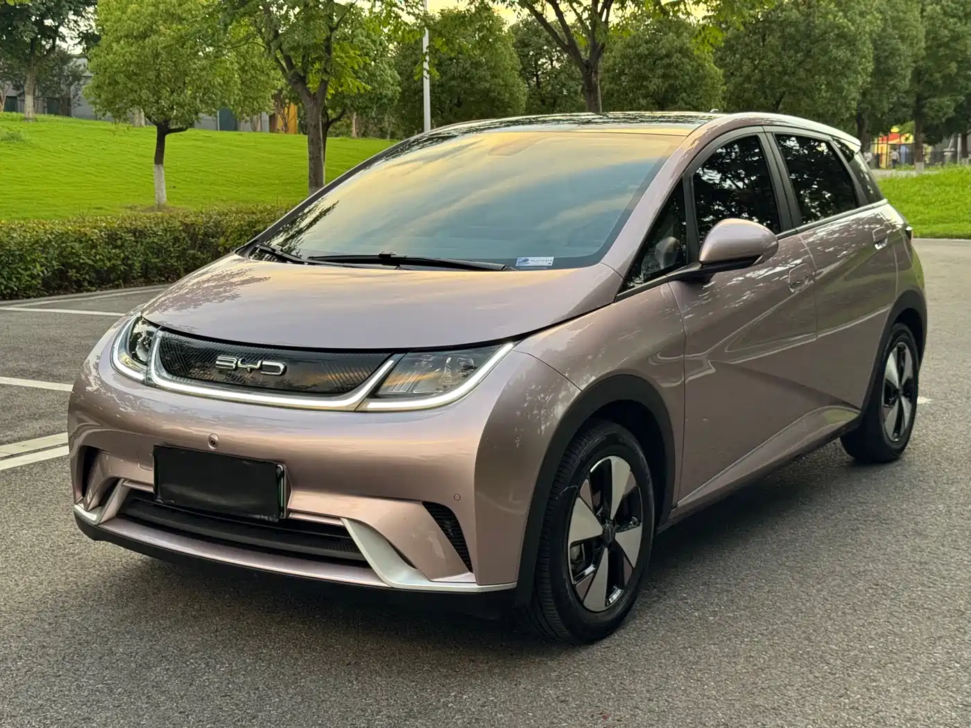 BYD Dolphin 2023 420km Fashion Edition