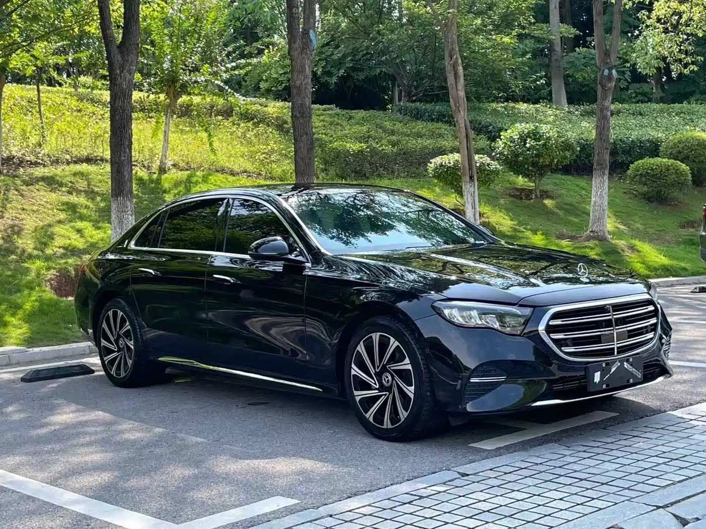 Mercedes-Benz E-Class 2025 E 300 L Luxury фото 2