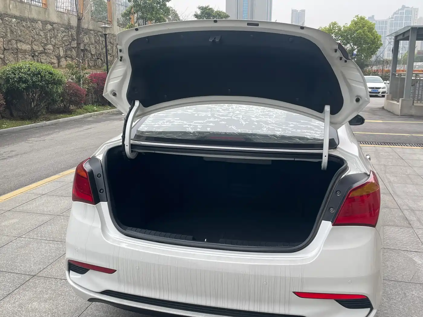 HYUNDAI NAME PICTURE