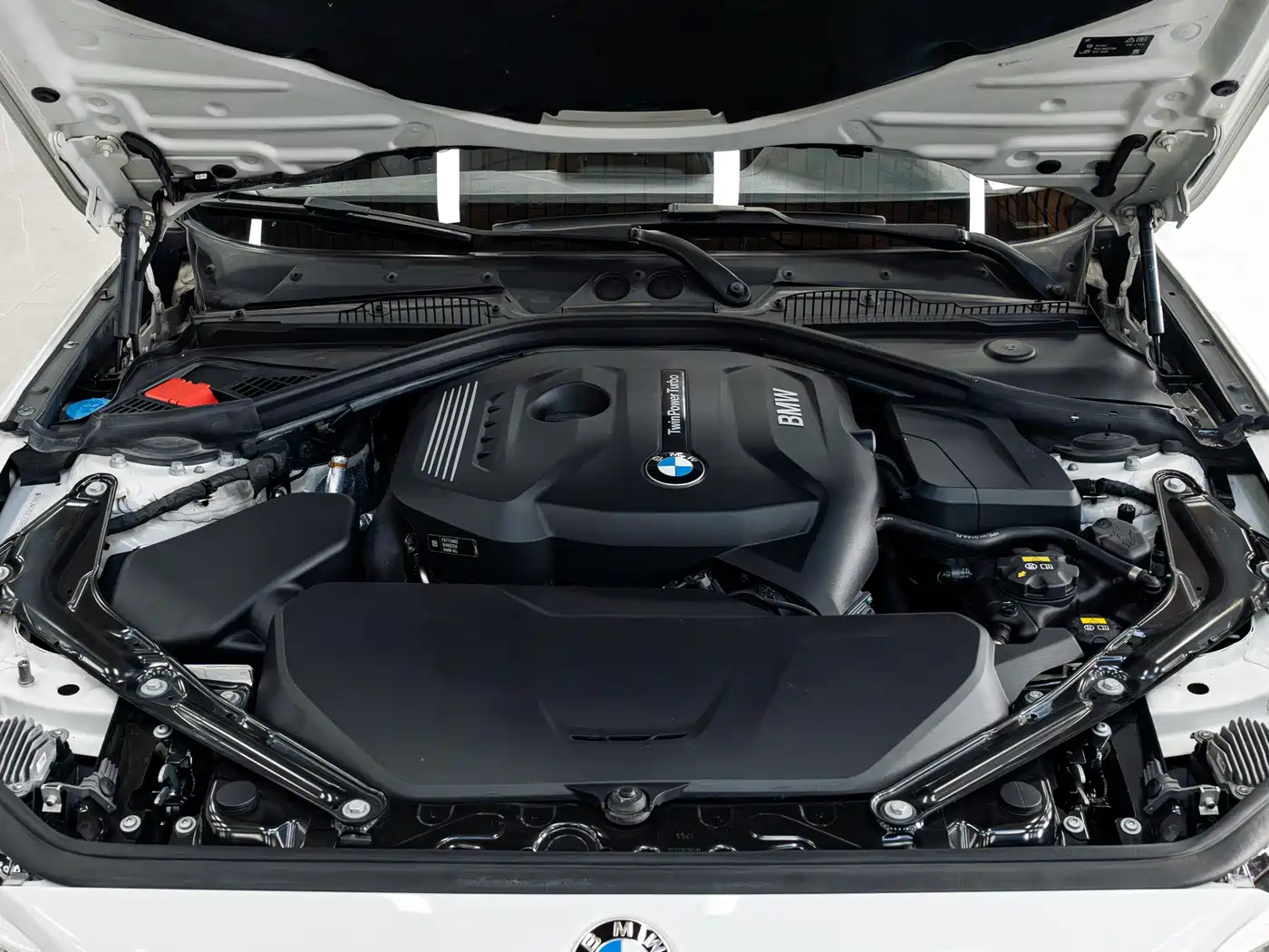 BMW 2 Series (Import) 2019 225i Convertible Coupe Sport Design Package фото 6