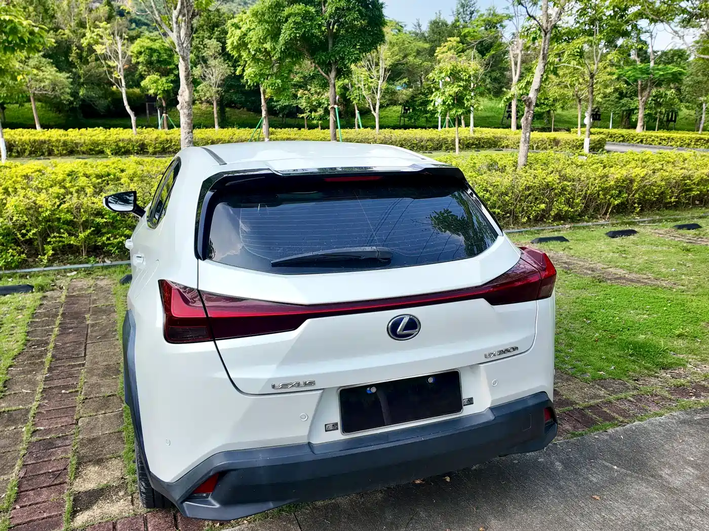 Lexus UX 2019 2019 260h Explorer Cool Edition (China V)