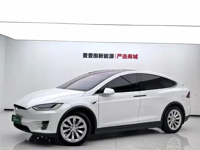 Tesla Model X 2020