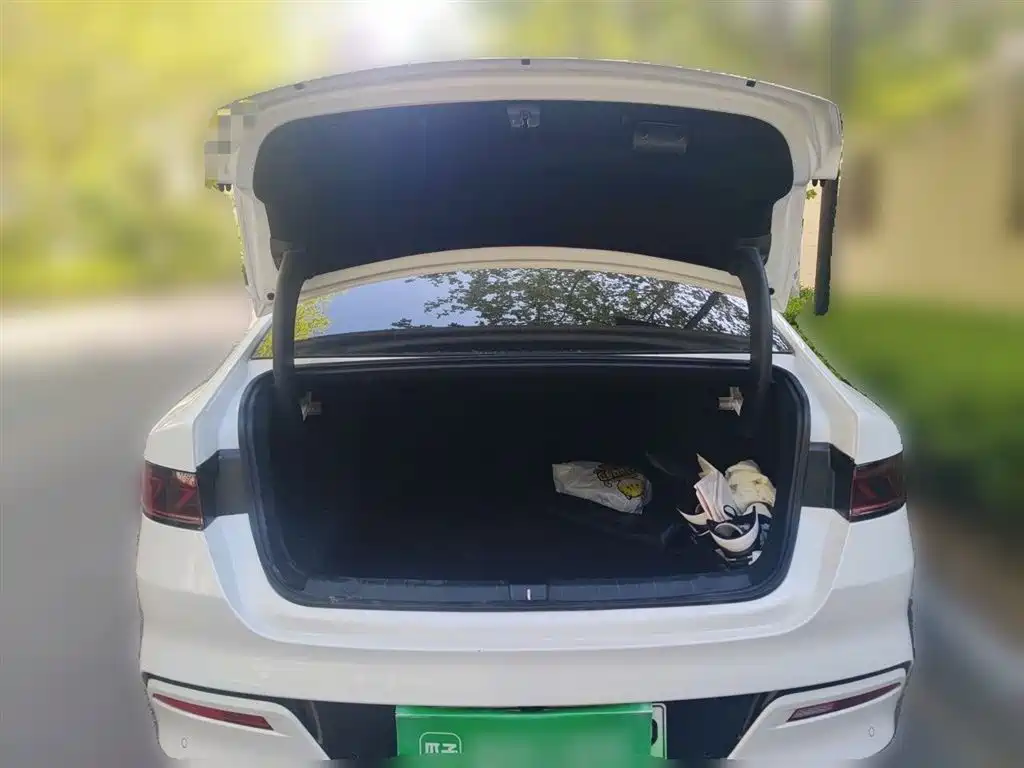 BYD Qin PLUS 2023 Champion Edition DM-i 55KM Leading фото 10