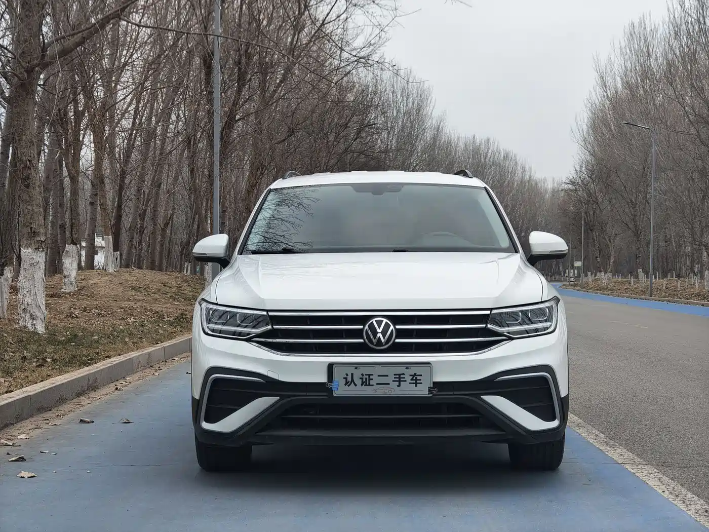 Volkswagen Tiguan L 2022 330TSI Automatic 2WD Comfort Edition фото 2
