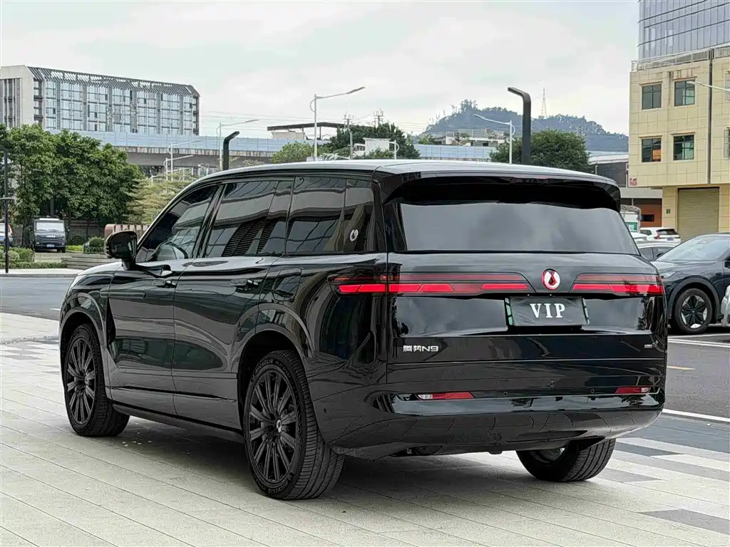 Denza N9 2025 Model Premium Excellence фото 7