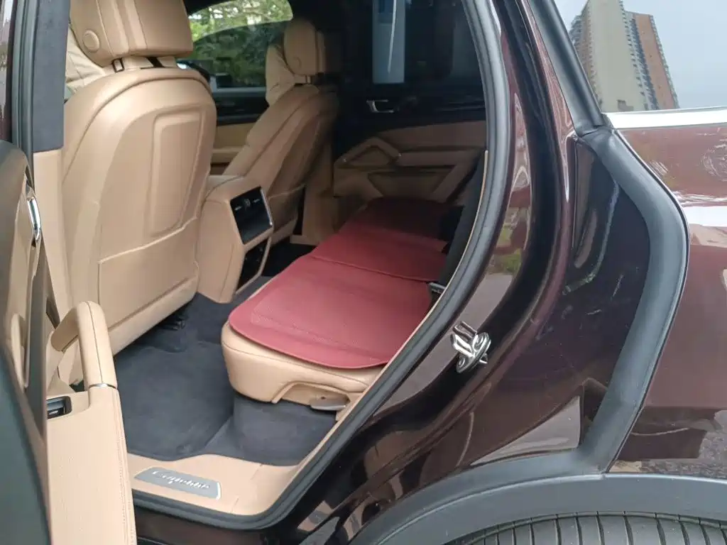 Photo 13 - Porsche Cayenne New Energy