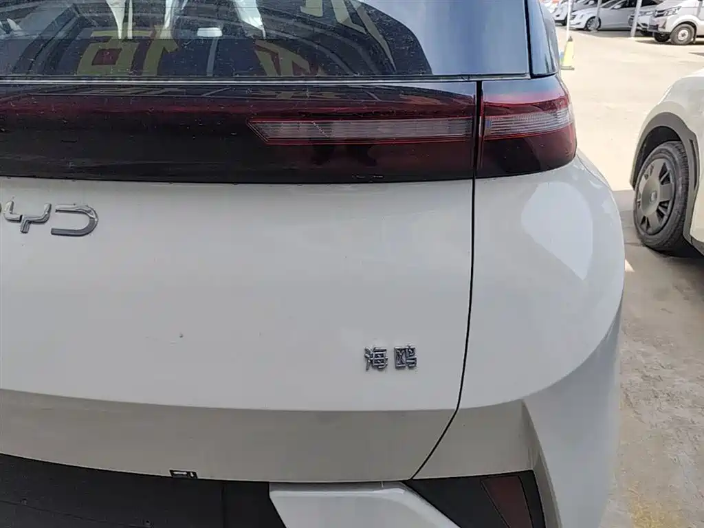 BYD Seagull 2025 Smart Drive Edition 305km Vitality Version фото 8