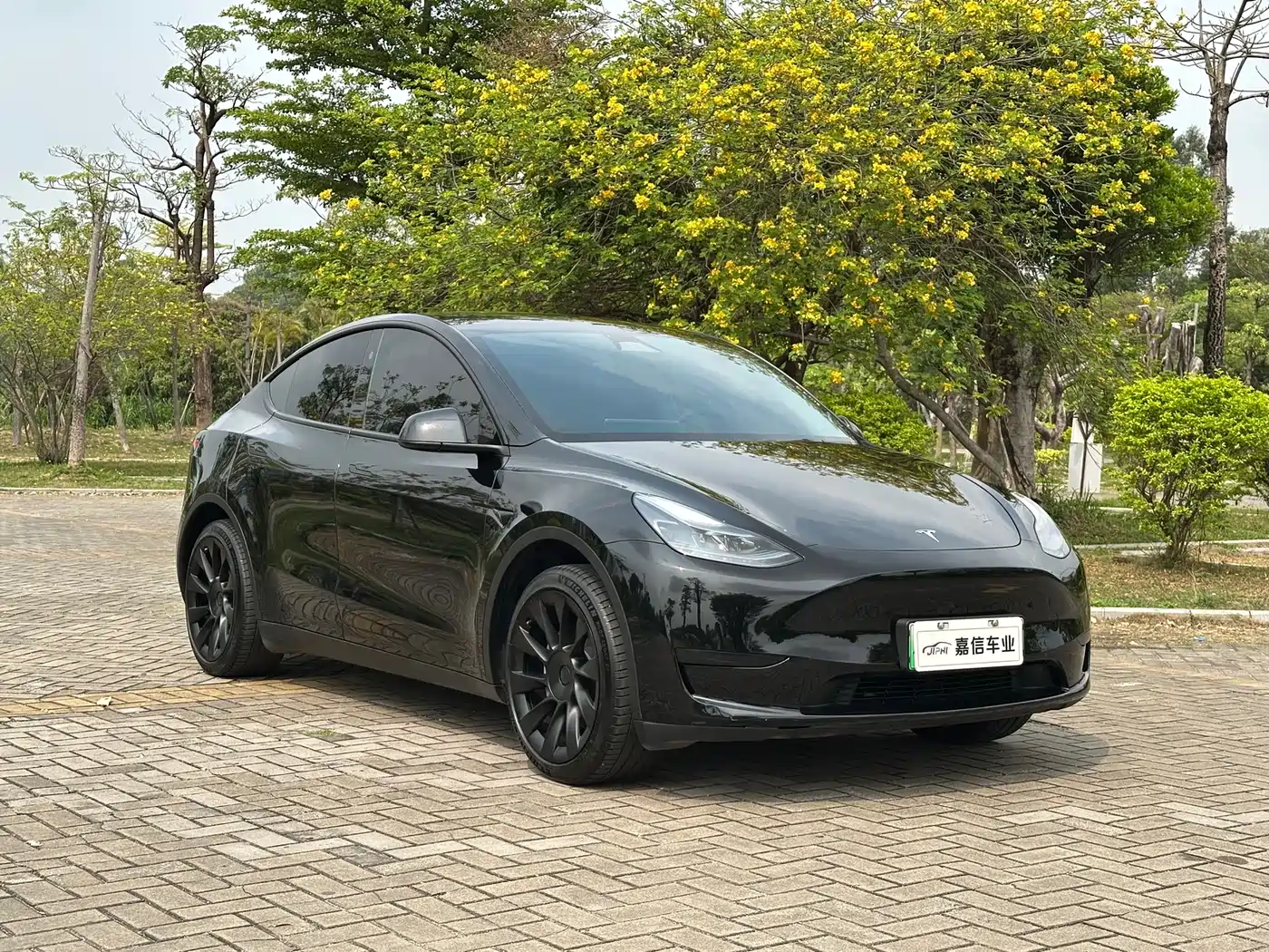 TESLA MODEL Y