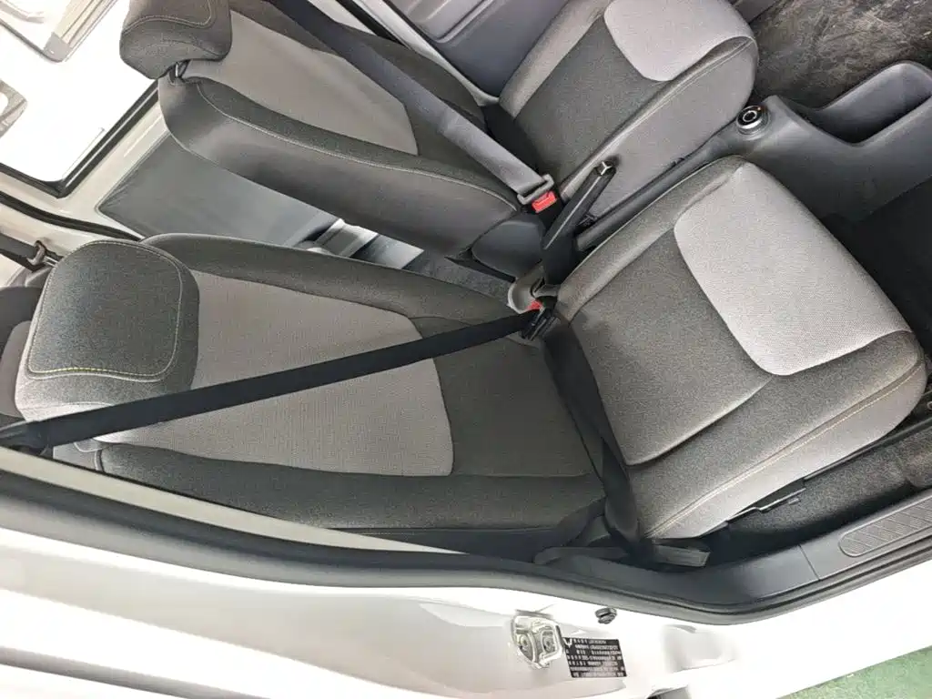 Wuling Motors Wuling Zhiguang NEV 2026 2025 Model 305km Base Version