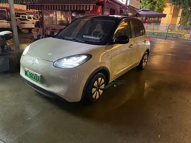 WULING WULING BINGGUO