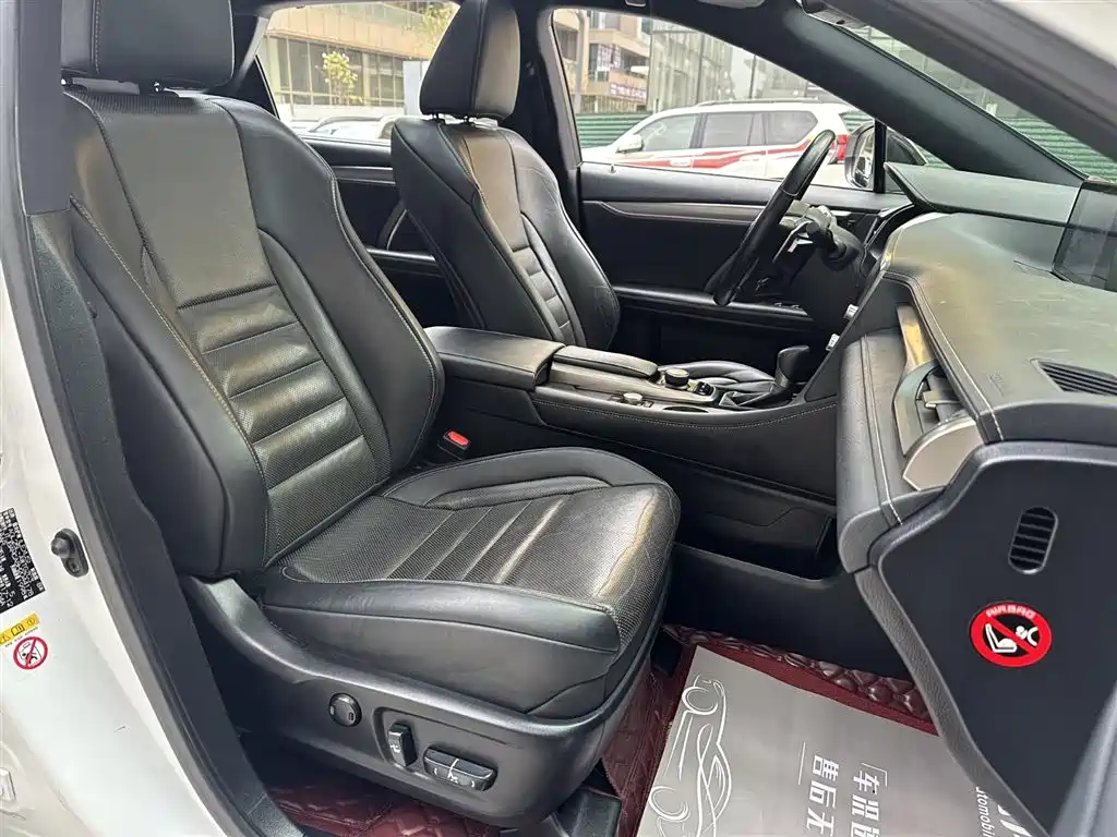 Lexus RX 2016 300 AWD F SPORT Edition China V фото 14