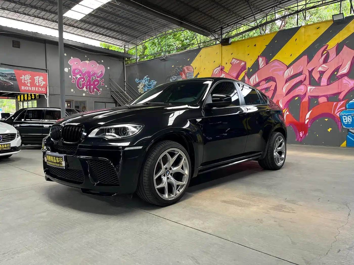 BMW X6 2009 2009 xDrive35i