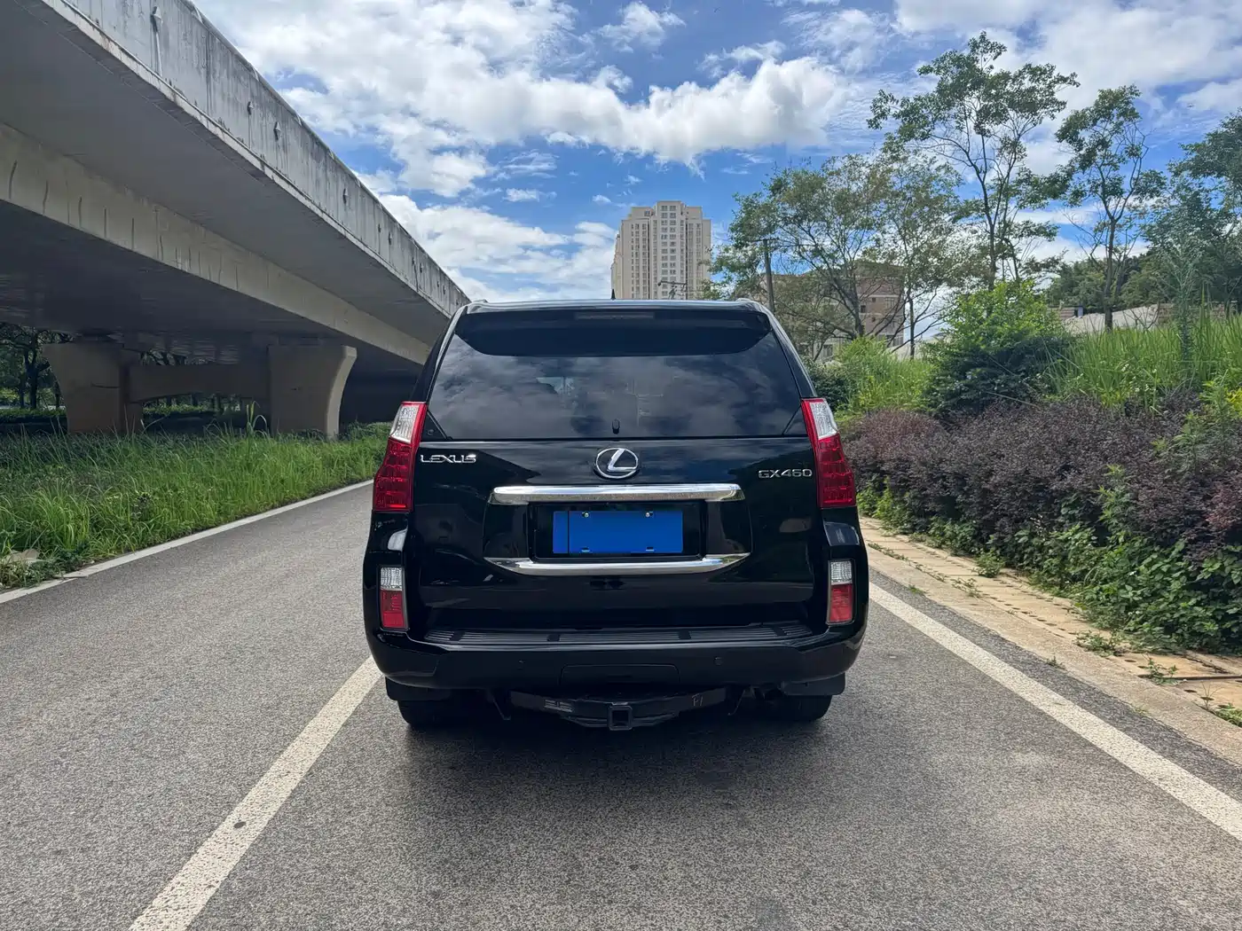 Lexus GX 2012 2010 460
