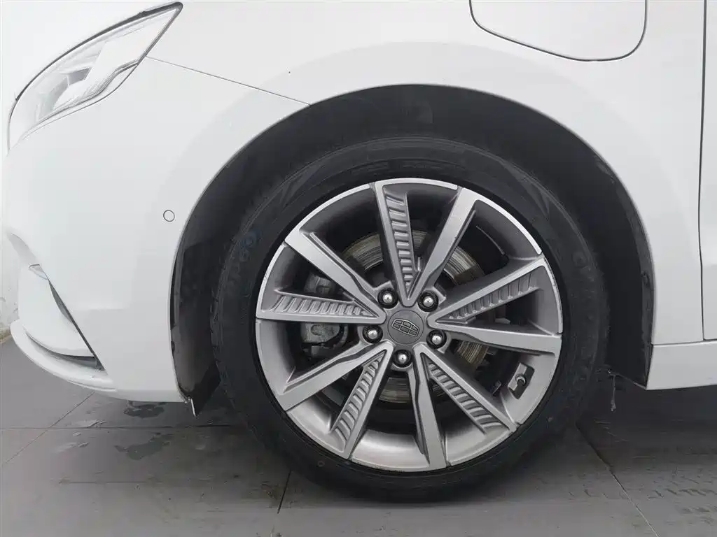 GEELY AUTOMOBILE BORUI NEW ENERGY