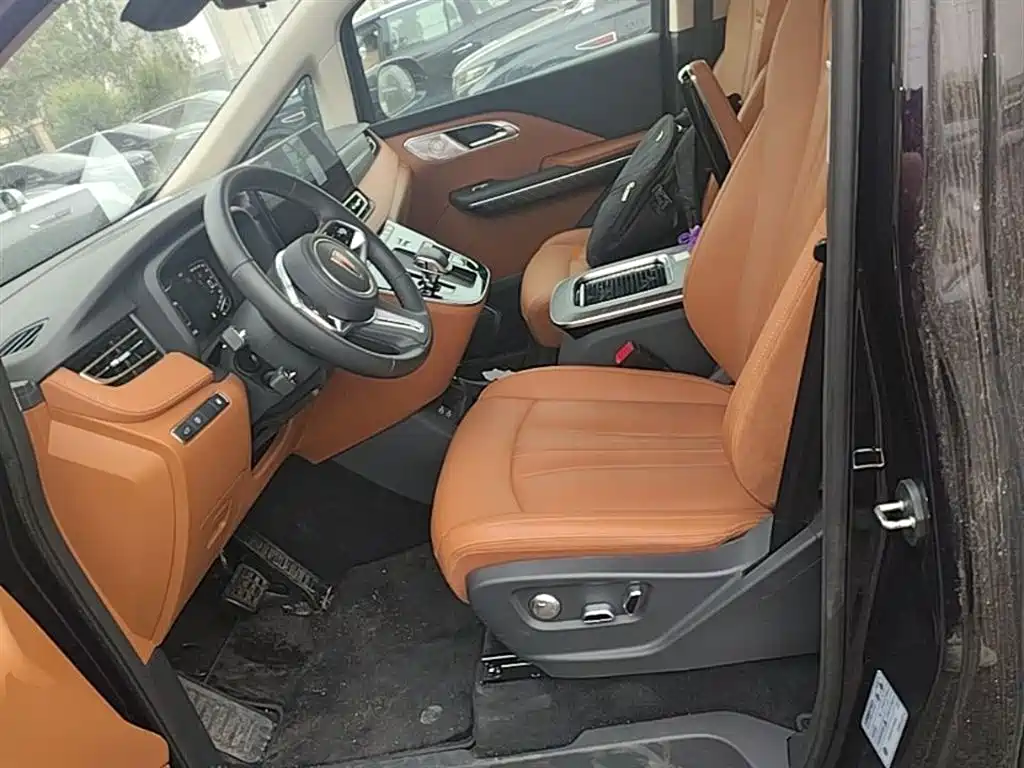 Hongqi HQ9 PHEV 2024 Model 2.0T AWD Business Edition фото 15
