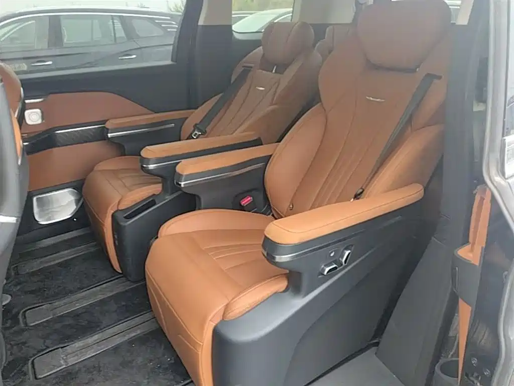 Hongqi HQ9 PHEV 2024 Model 2.0T AWD Business Edition фото 17