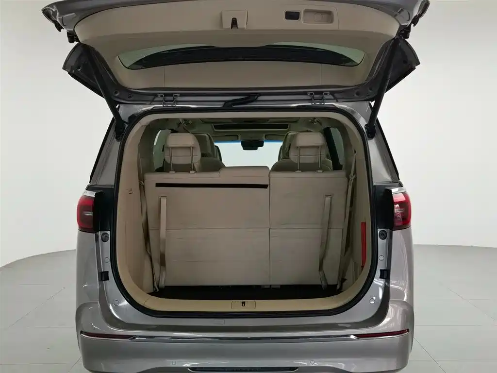 Buick GL8 2023 ES Landmaster Luxury фото 5