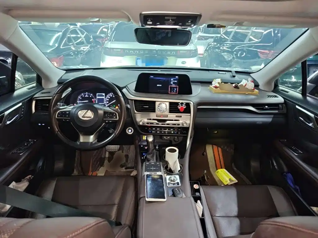 Фото 10 - Lexus RX
