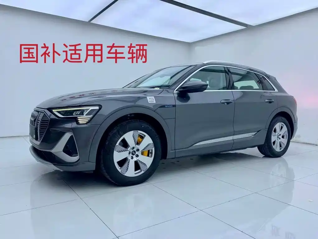Audi e-tron 2026 2021 50 quattro Luxury