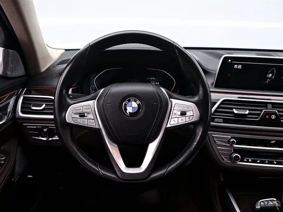 BMW 7 Series 2019 730Li Luxury Package фото 7
