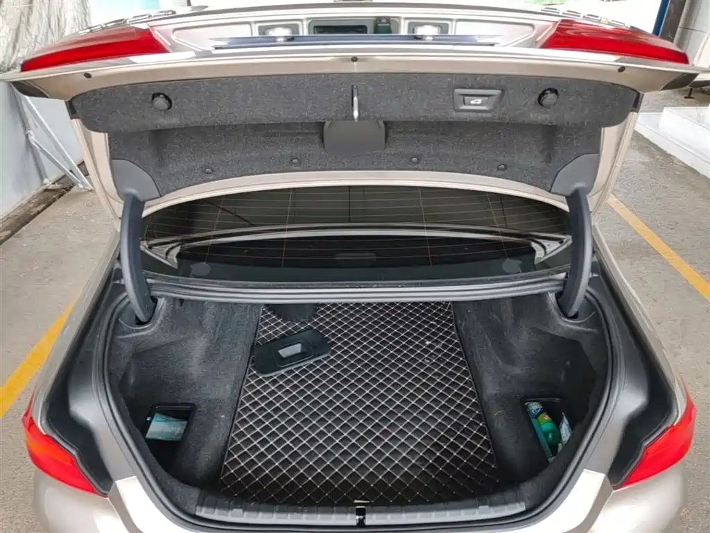 BMW 5 Series 2020 525Li Luxury Package фото 19