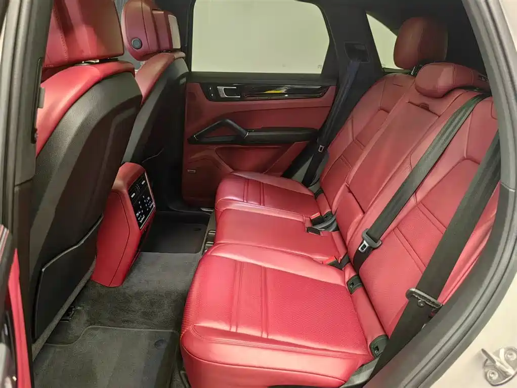 Porsche Cayenne 2022 Cayenne 3.0T Platinum Edition фото 12