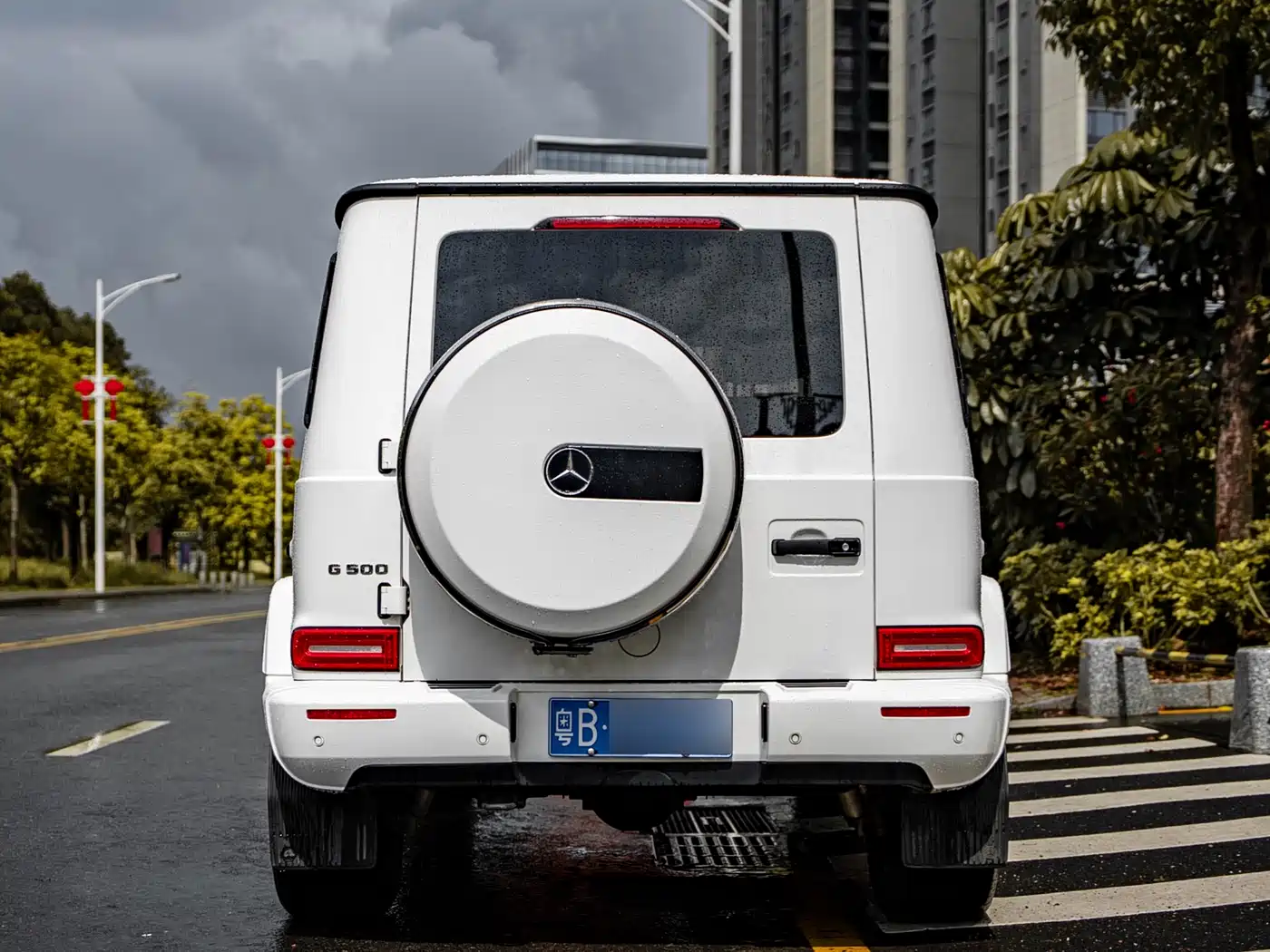 Mercedes-Benz G-Class 2019 G 500 фото 6