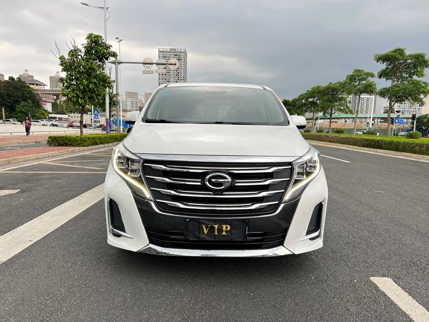 GAC Trumpchi Trumpchi M8 2020 Pilot 390T Prestige Edition фото 3