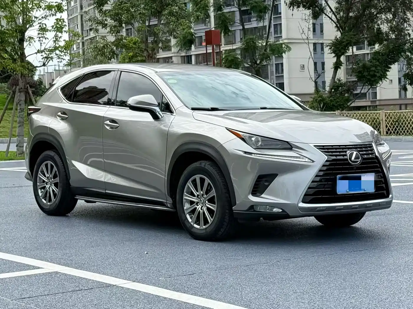 Lexus NX 2018 Model 300 FWD Fengxing Edition фото 3