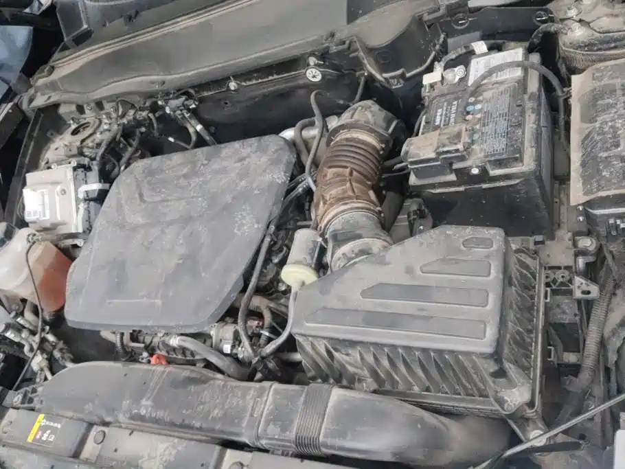 Haval Dargo 2025 2024 1.5T DCT Border Collie Edition