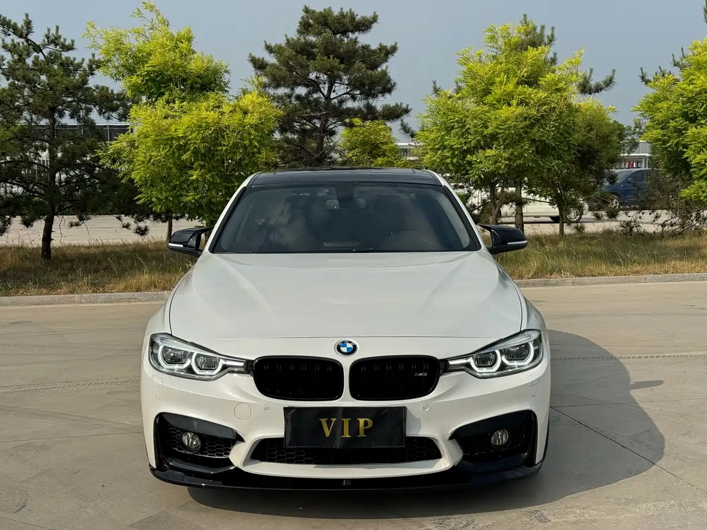 BMW 3 Series 2017 318Li Fashion фото 2