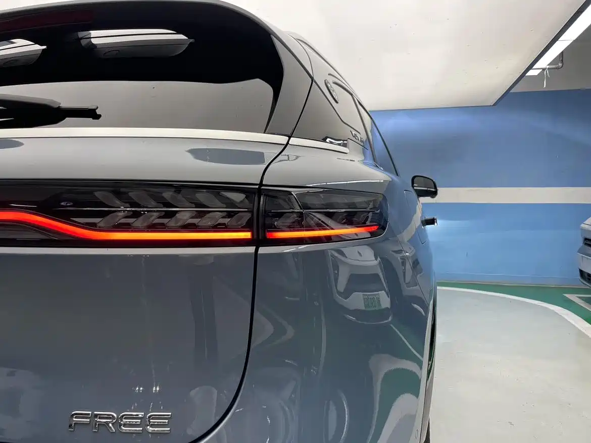 Voyah Auto VOYAH FREE 2021 AWD Standard Range Extender Exclusive Luxury Package фото 9