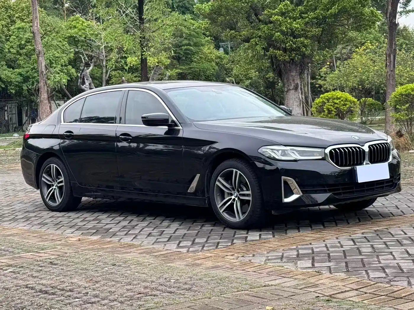 BMW 5 Series 2021 Facelift 530Li Leading Luxury Package фото 3