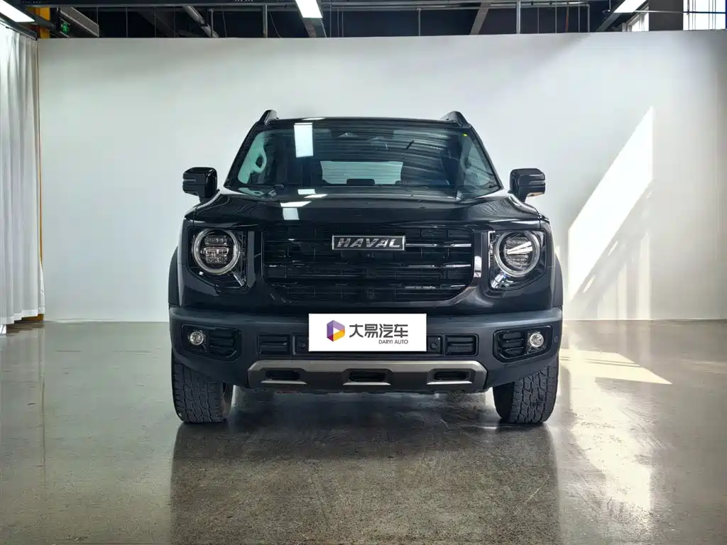 HAVAL BIG DOG