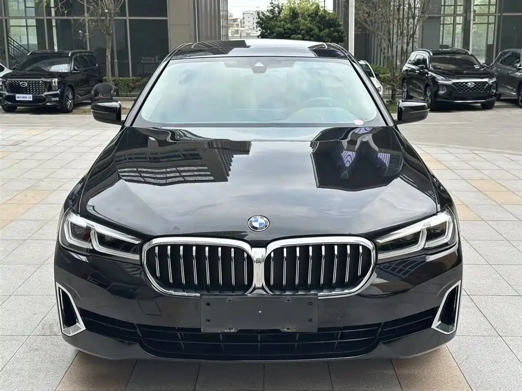 BMW 5 Series 2021 530Li Leading Luxury Package фото 4