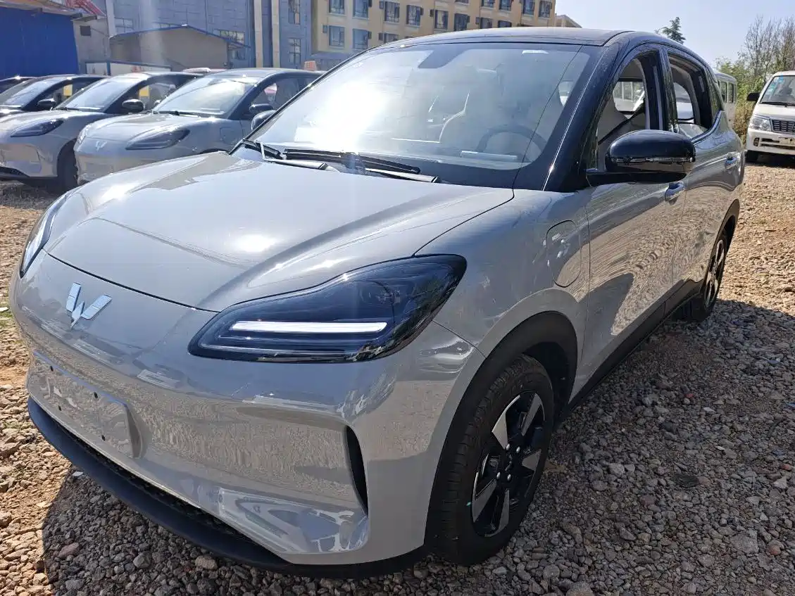 2026 Wuling Motors Wuling Binguo PLUS