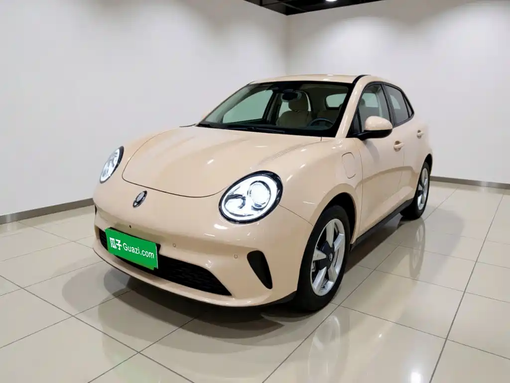 Ora Good Cat 2025 2025 430km Honor Edition